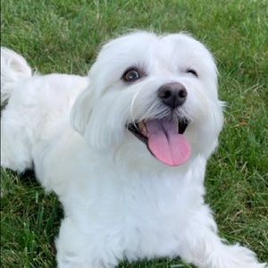 Meet your Posher, Vivi